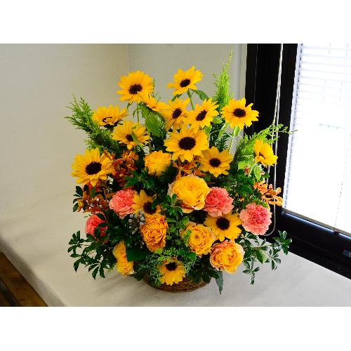 �q�}�������C���̍��؂ȃA�����W�����g2