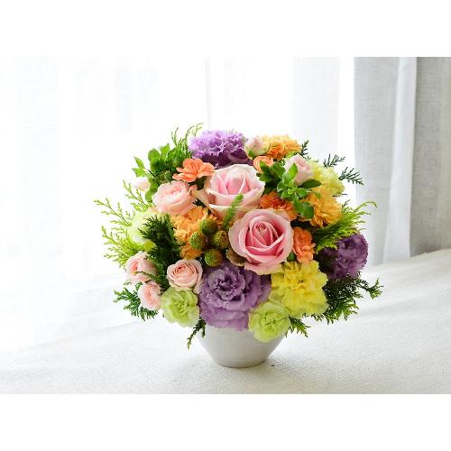 ���邭�D�����@�y�p�X�e���~�b�N�X�@�l�z2