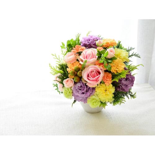 ���邭�D�����@�y�p�X�e���~�b�N�X�@�l�z4