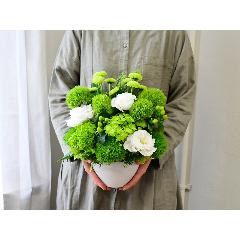 �S���̂������b�N�X�@�O���[���A�����W