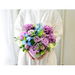 ���₵�n�@��i�ȐF�@���u���[�̃p�X�e���A�����W