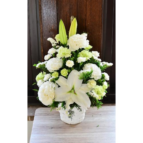 �y�������z���������Ɣ��O���[���̉�