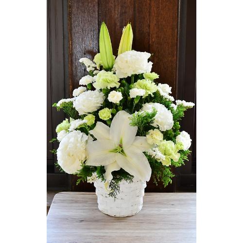 �y�������z���������Ɣ��O���[���̉�3