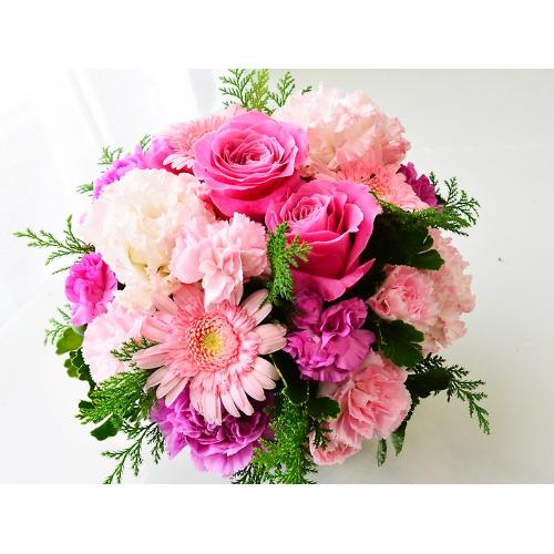 �s���N�O���f�[�V�����̃��E���h�A�����W2