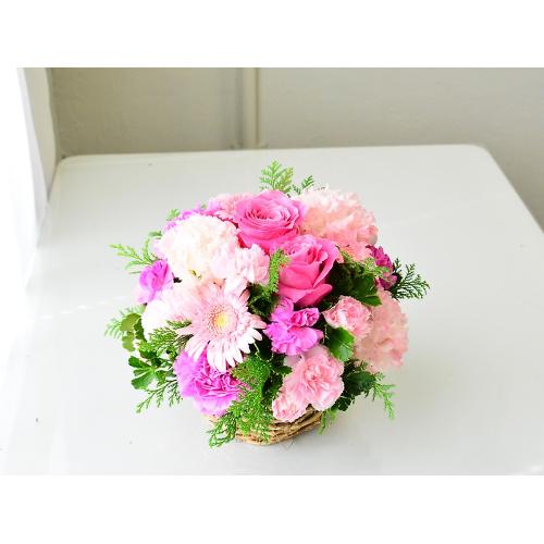 �s���N�O���f�[�V�����̃��E���h�A�����W4