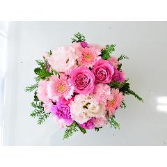 �s���N�O���f�[�V�����̃��E���h�A�����W