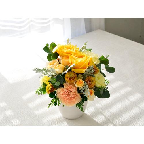 �V���r�[�V�b�N�A�����W�@�r�i���F�I�����W�j2