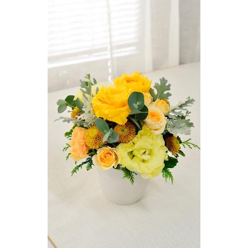�V���r�[�V�b�N�A�����W�@�r�i���F�I�����W�j4