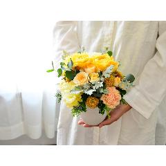 �V���r�[�V�b�N�A�����W�@�r�i���F�I�����W�j