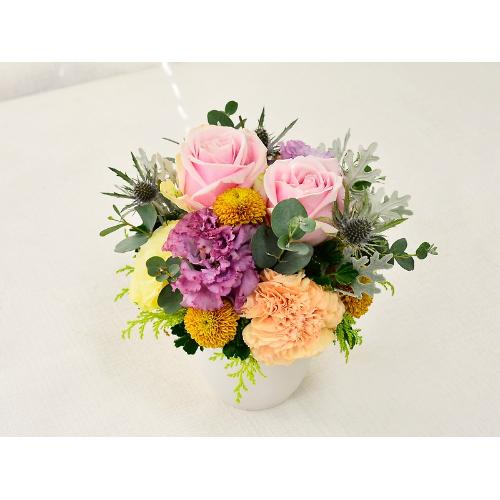 �V���r�[�V�b�N�A�����W�@�r�iMIX�J���[�j