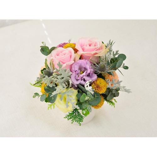 �V���r�[�V�b�N�A�����W�@�r�iMIX�J���[�j4