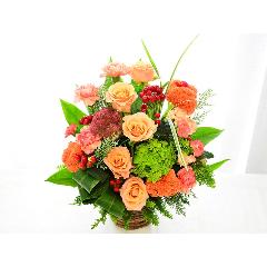 �{�����[���̂���؂₩�ȃI�����W�A�����W