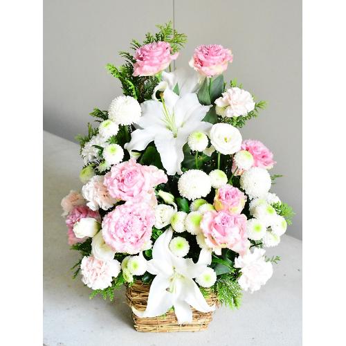 �y�䋟���z�����ƒW���s���N�̌䋟���A�����W3