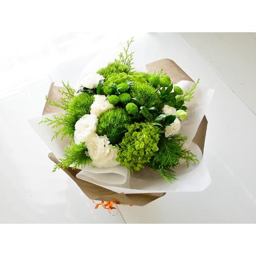�O���[���Ɣ��̃r�r�b�h�J���[�u�[�P3