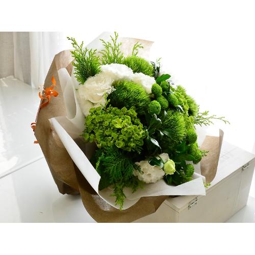�O���[���Ɣ��̃r�r�b�h�J���[�u�[�P4