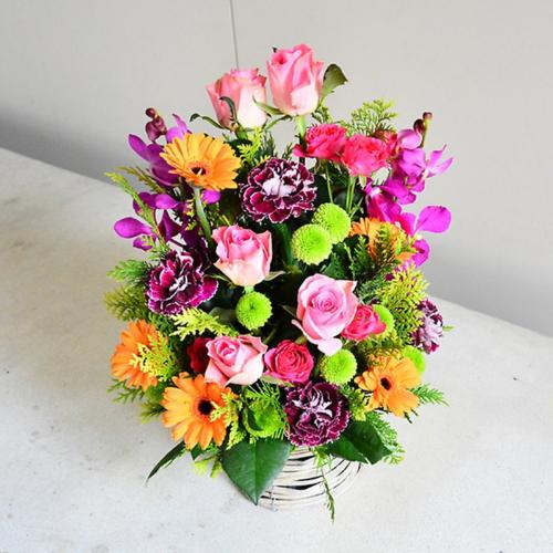 �r�r�b�h�ȃ~�b�N�X�J���[�̃A�����W�����g2