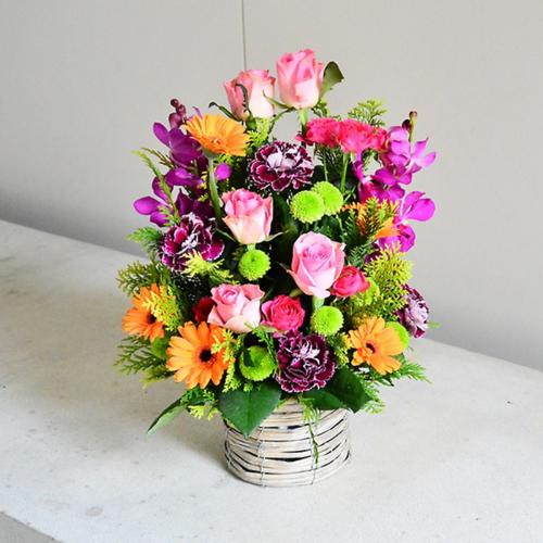 �r�r�b�h�ȃ~�b�N�X�J���[�̃A�����W�����g3