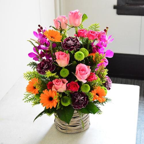 �r�r�b�h�ȃ~�b�N�X�J���[�̃A�����W�����g4