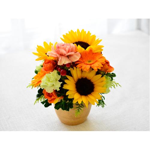 �q�}�������C���̃��E���h�A�����W2