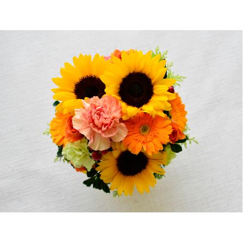 �q�}�������C���̃��E���h�A�����W3