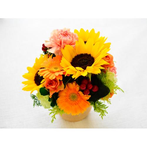 �q�}�������C���̃��E���h�A�����W4