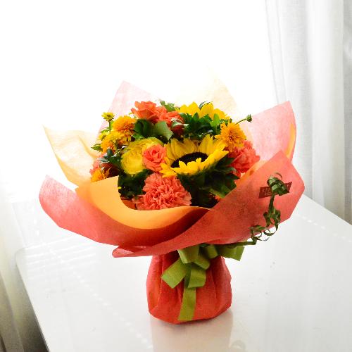 �q�}�����ƃr�r�b�h�J���[�̃u�[�P2