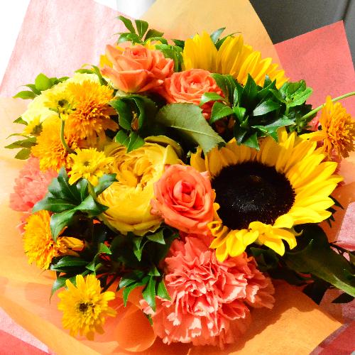 �q�}�����ƃr�r�b�h�J���[�̃u�[�P4