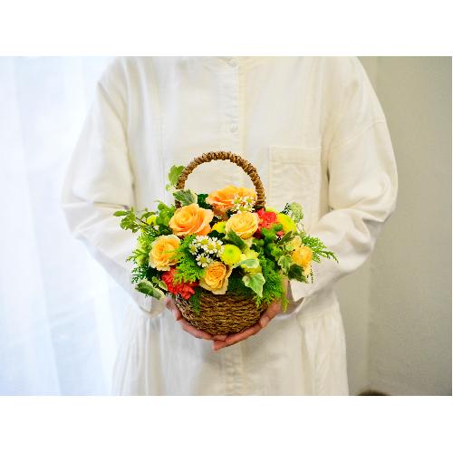 �O���[�������ς��̃i�`�������o�X�P�b�g�A�����W2