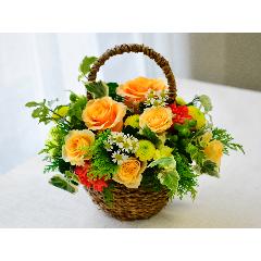 �O���[�������ς��̃i�`�������o�X�P�b�g�A�����W