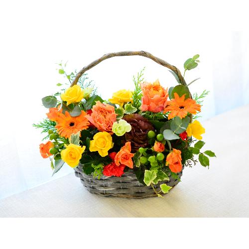 ����悤�ȃo�X�P�b�g�A�����W�y���I�����W�z