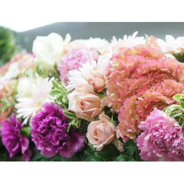 �X�^�b�t�摜