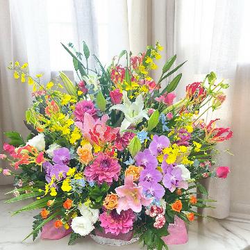 �X�܊O�ω摜