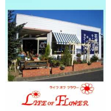 �X�܊O�ω摜