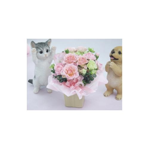 �y�b�g����񂨋����A�����W�����g�F�s���N�n