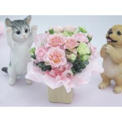 �y�b�g����񂨋����A�����W�����g�F�s���N�n