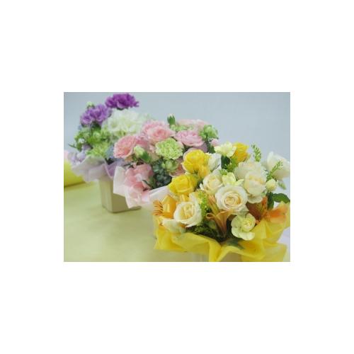 �y�b�g����񂨋����A�����W�����g�F���F�n2