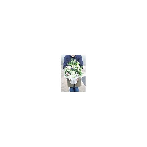 �������E�����݃A�����W�����g2