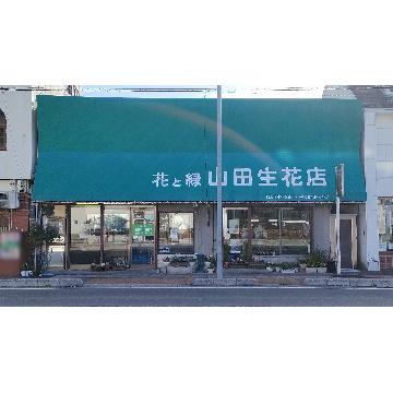 �X�܊O�ω摜
