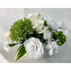 ���E�O���[���̃A�����W�����g