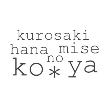 �X�܊O�ω摜