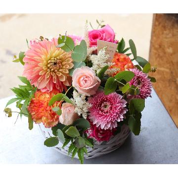 ���̑��摜