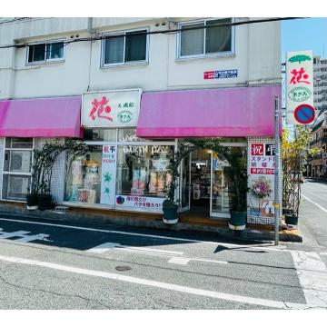 �X�܊O�ω摜