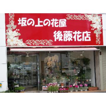 �X�܊O�ω摜