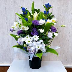 �y��O�����ցz�������p�A�����W�����g���e�̉Ԃ����C���Ɂy��͂��z