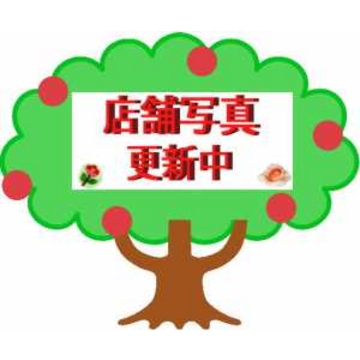 �X�܊O�ω摜