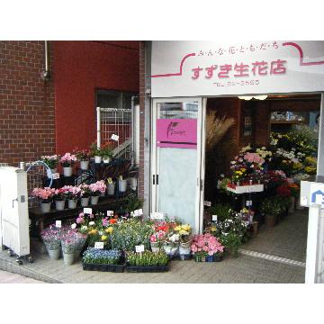 �X�܊O�ω摜