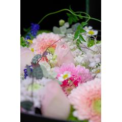 BoxFlower_�uDonizetti�v_�i�{�b�N�X�t�����[�E�h�j�[�b�e�B/�s���N�j