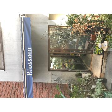 �ԉ�����͂��z�B�I�ԑ��Ȃǃt�����[�M�t�g�́y�t�W�e���r�t�����[�l�b�g�z