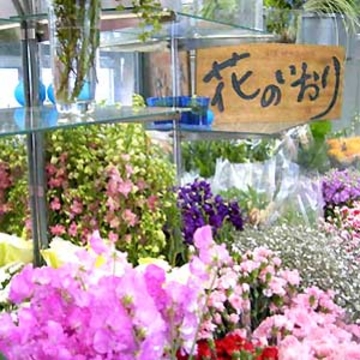 �X�܊O�ω摜