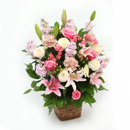 �x���[�����_�t���@Berry Wonderful2